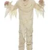 LF Products Pte. Ltd. Adult Mummy Costume -California Costume Store adult mummy costume