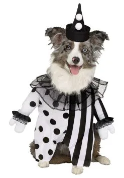 Fun World Killer Clown Pet Costume
